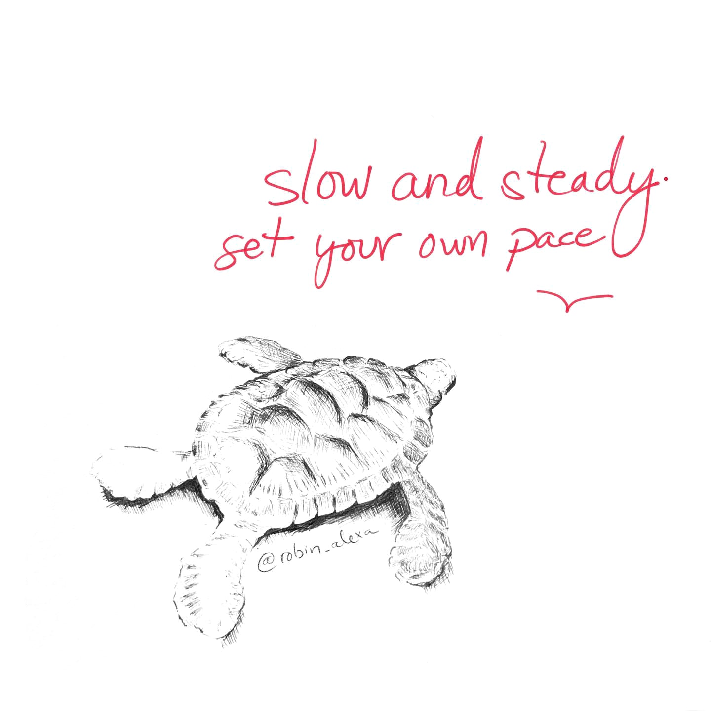 (slow and steady) matted print
